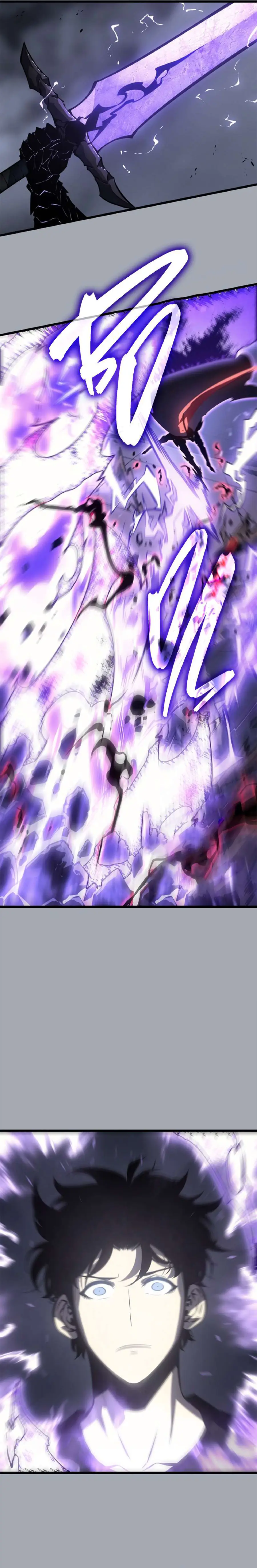 solo leveling ch195 p14 solo leveling ch195 p014
